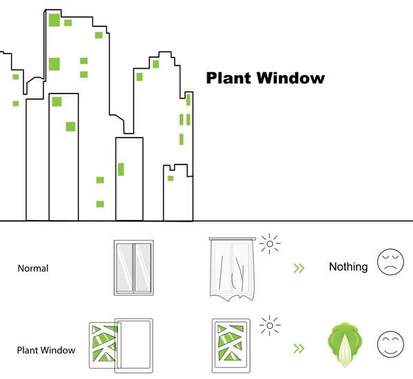 plant_window.jpg